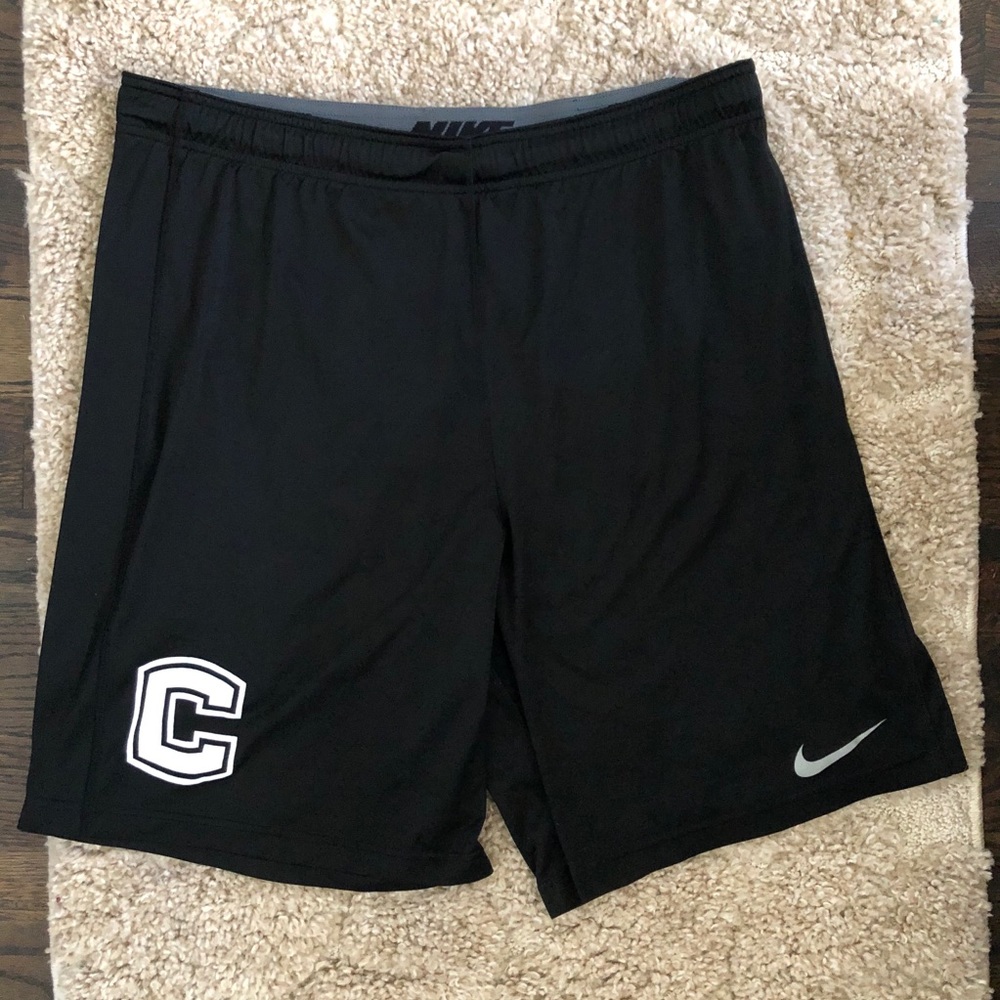 Nike Dri Fit Athletic Shorts